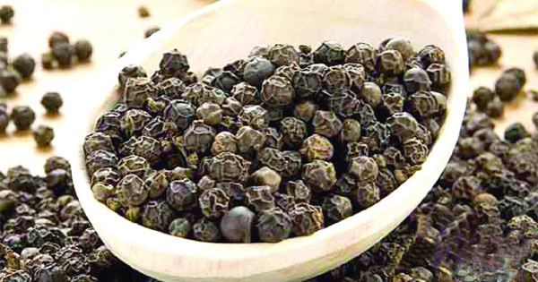 গোলমরিচে ওজন কমে