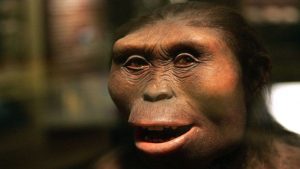 নতুন মনুষ্য প্রজাতির সন্ধান!