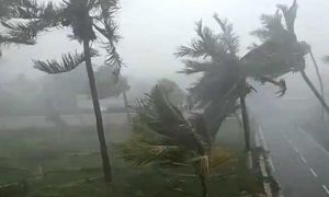 বাংলাদেশে আঘাত হেনেছে ফণী, ৫ জনের মৃত্যু