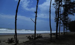 ‘ফণী’র প্রভাবে উপকূলীয় অঞ্চলে বন্যার আশঙ্কা