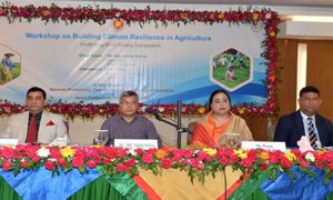 উন্নয়নশীল দেশগুলোর বড় চ্যালেঞ্জ খাদ্য নিরাপত্তা: শিল্পসচিব