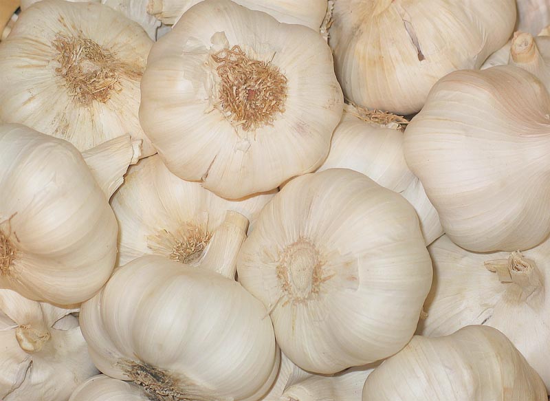 চুল পড়া প্রতিরোধে রসুন