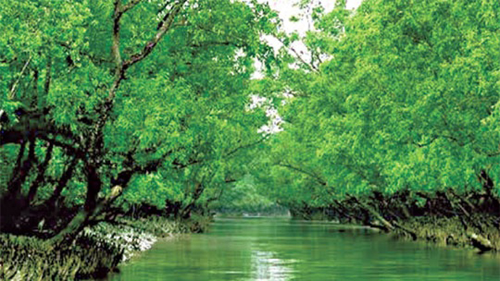 সুন্দরবন বিশ্ব ঐতিহ্যের তালিকায়